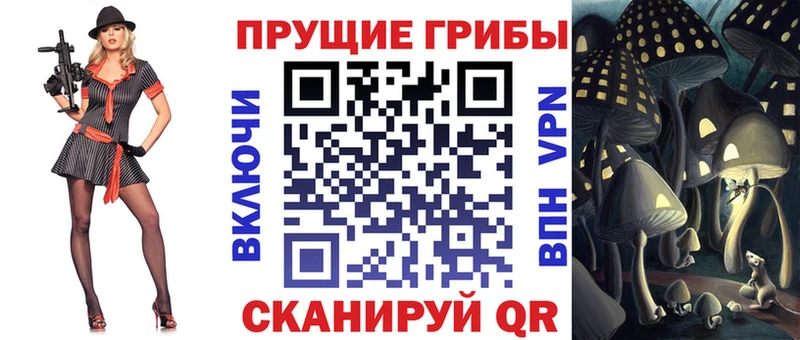 Галлюциногенные грибы MAGIC MUSHROOMS  наркота  Жирновск 